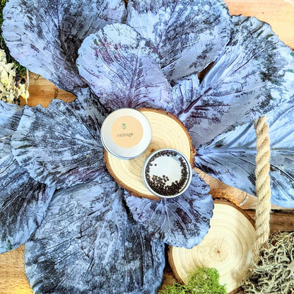 Organic Red Cabbage Seeds