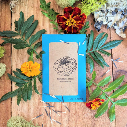 Petite Marigold Seeds blue seed packet with marigold line drawing and '100 seeds'