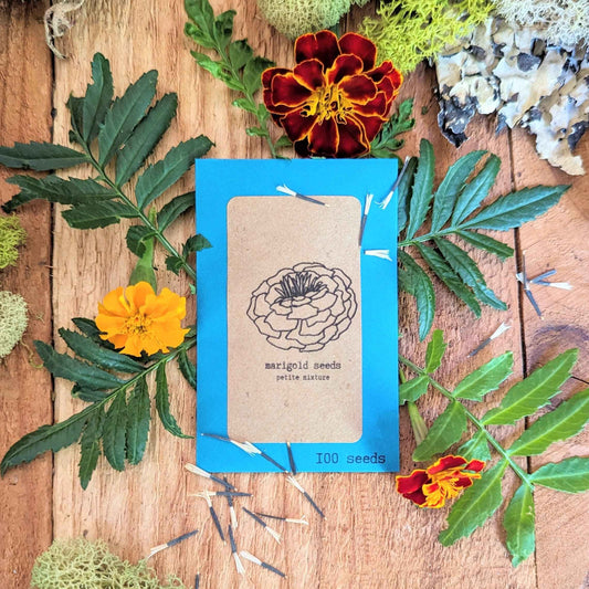 Petite Marigold Seeds blue seed packet with marigold line drawing and '100 seeds'
