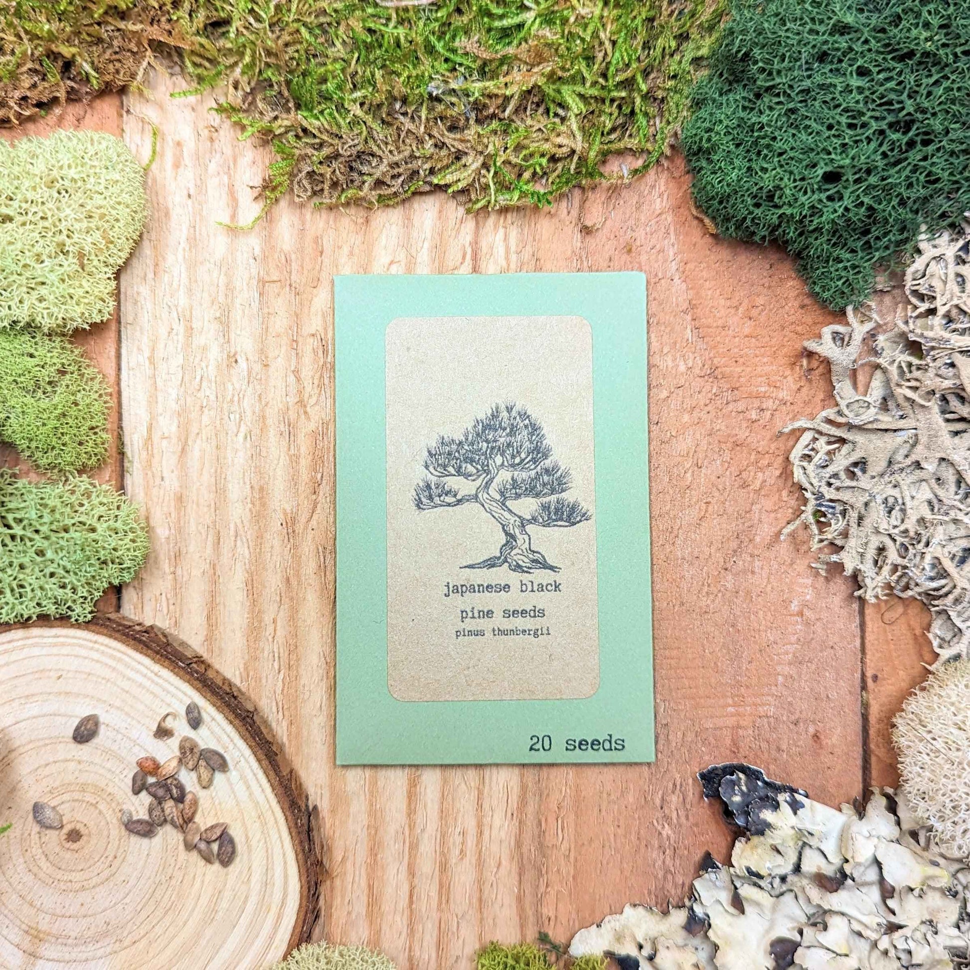 Japanese black pine seed packet with “20 seeds” label