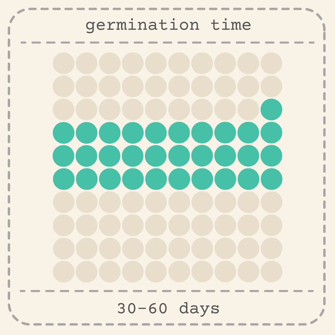Germination time chart for dwarf umbrella plant seeds: 30–60 days