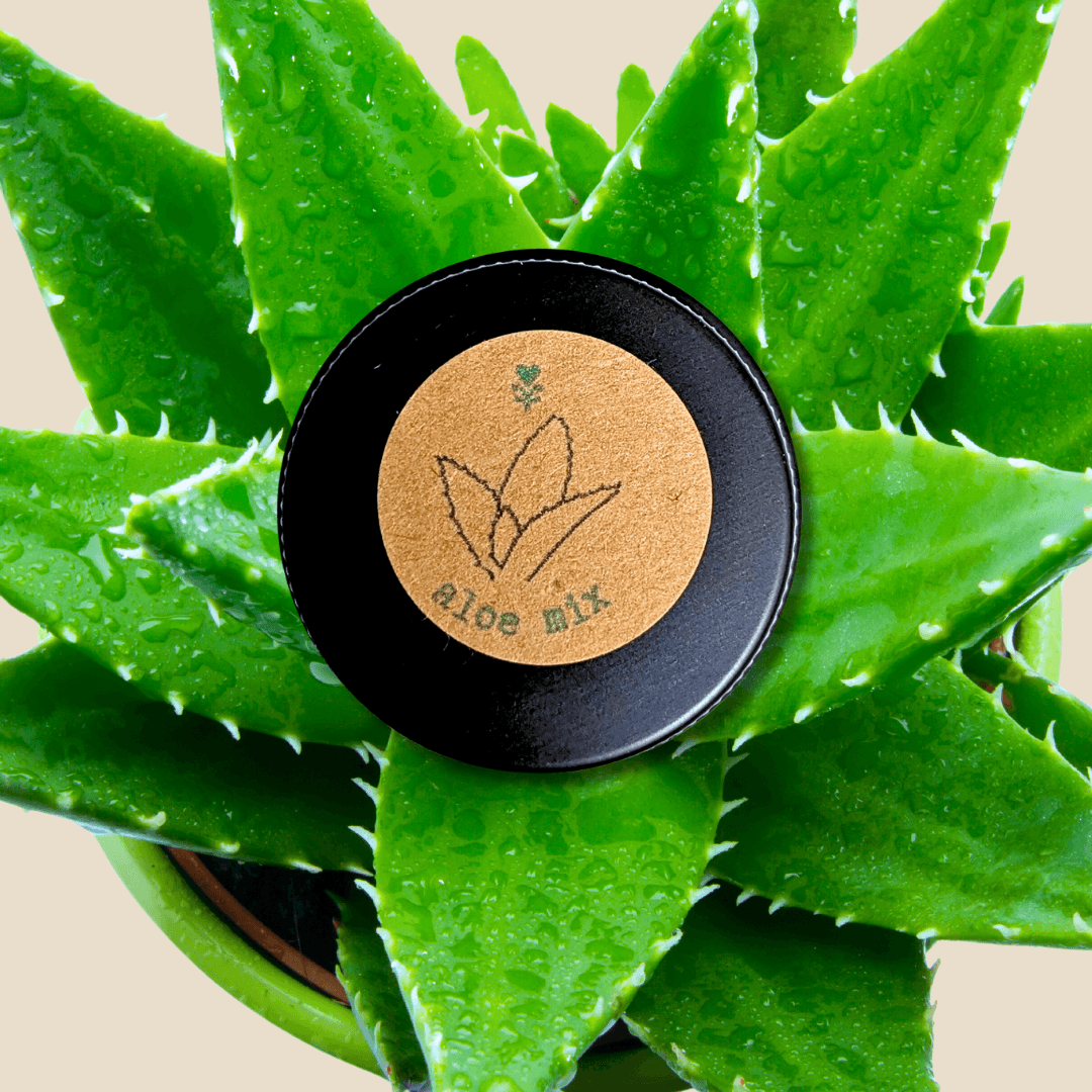 Aloe mix seeds tin label on black lid, surrounded by green aloe leaves