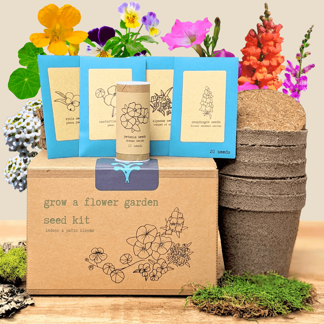 Flower seed kit box with seed packets, blue sleeves, and stacked planting pots on side