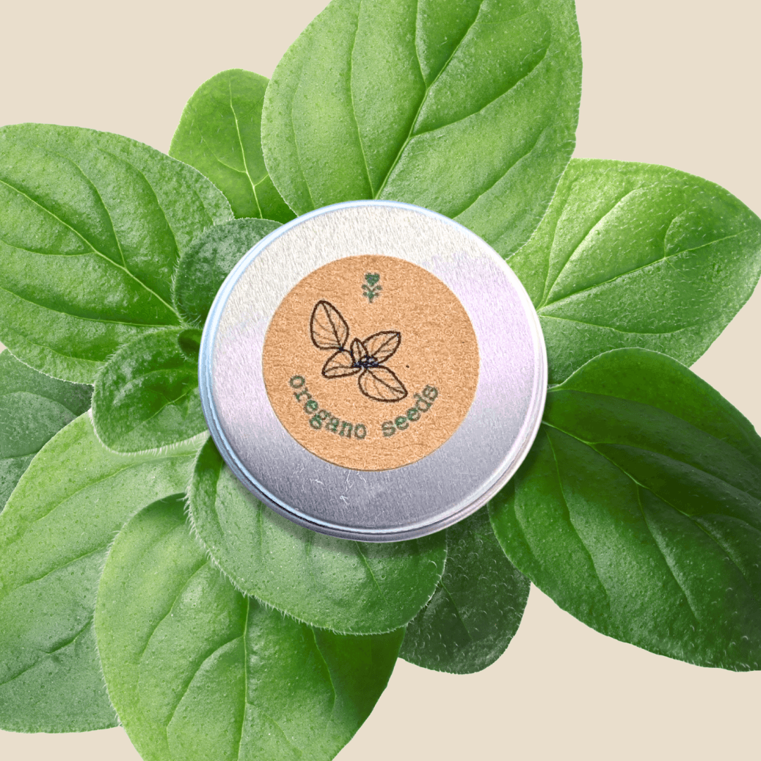 Organic oregano seed tin with label and oregano sprigs
