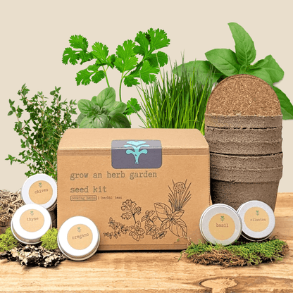 Herb seed kit box with herb seed tins: chives, thyme, oregano, basil, cilantro