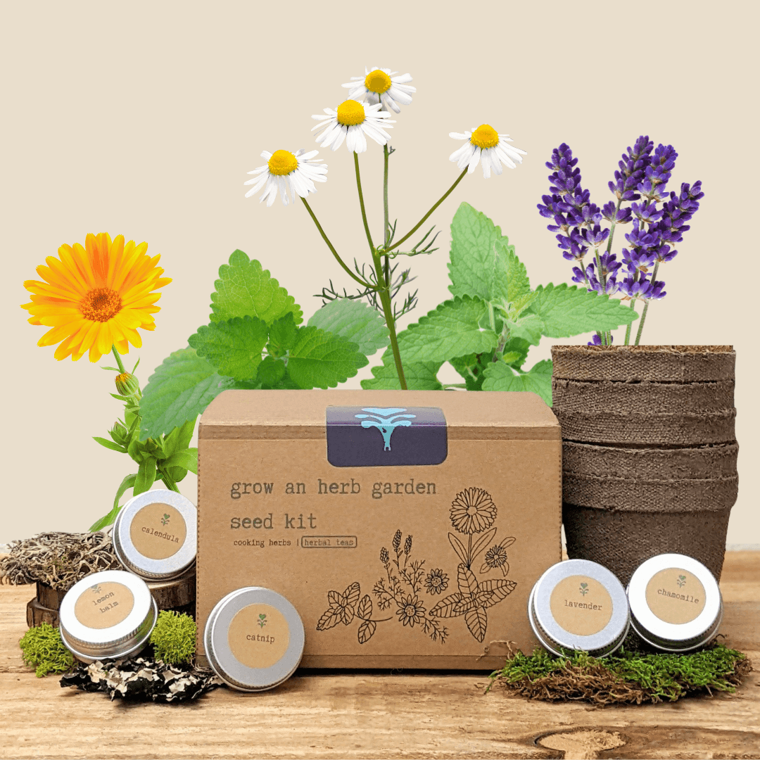 Herbal tea seed kit box with labeled herb tea tins and seed packs