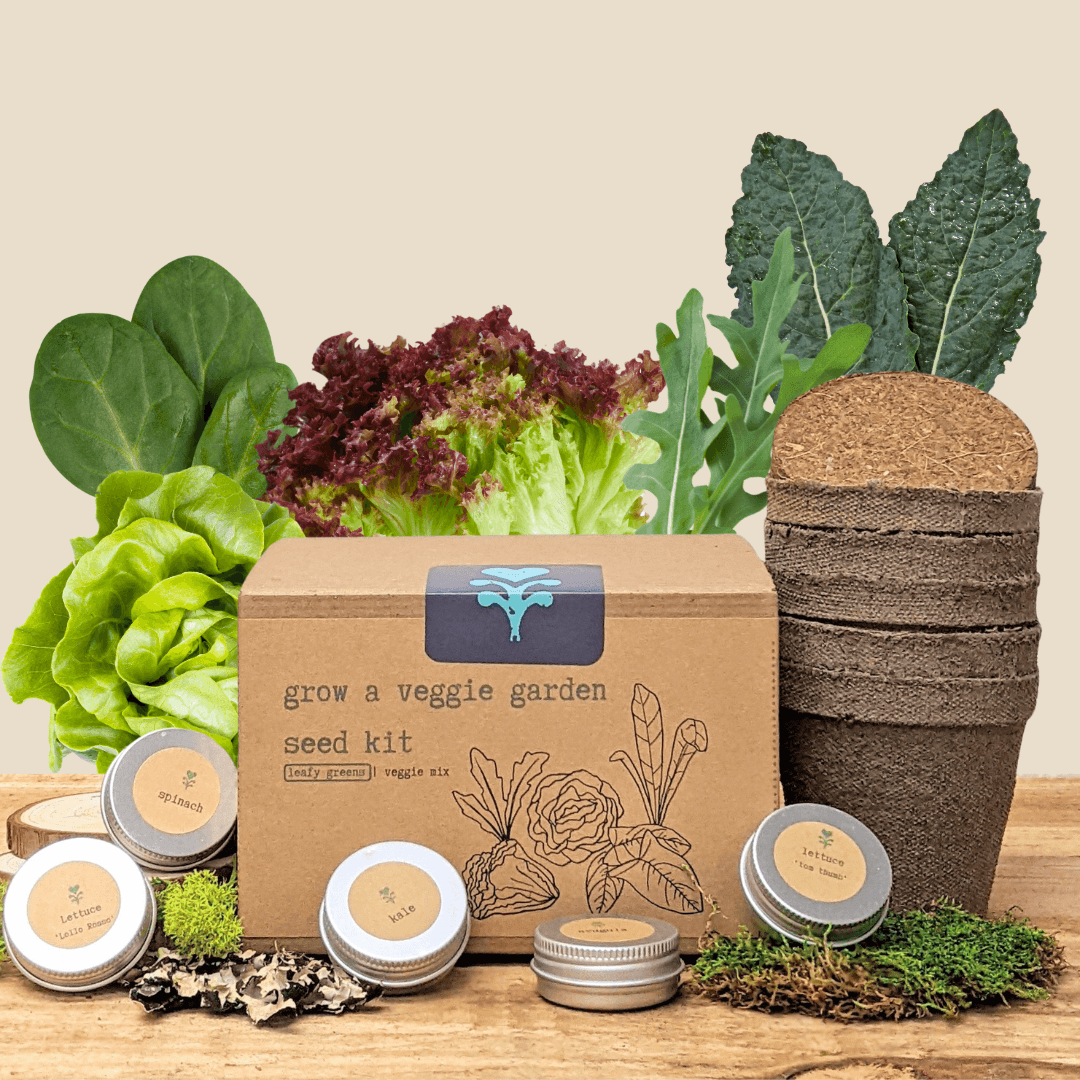 Leafy greens seed kit with cardboard box, seed tins, and fabric grow bag