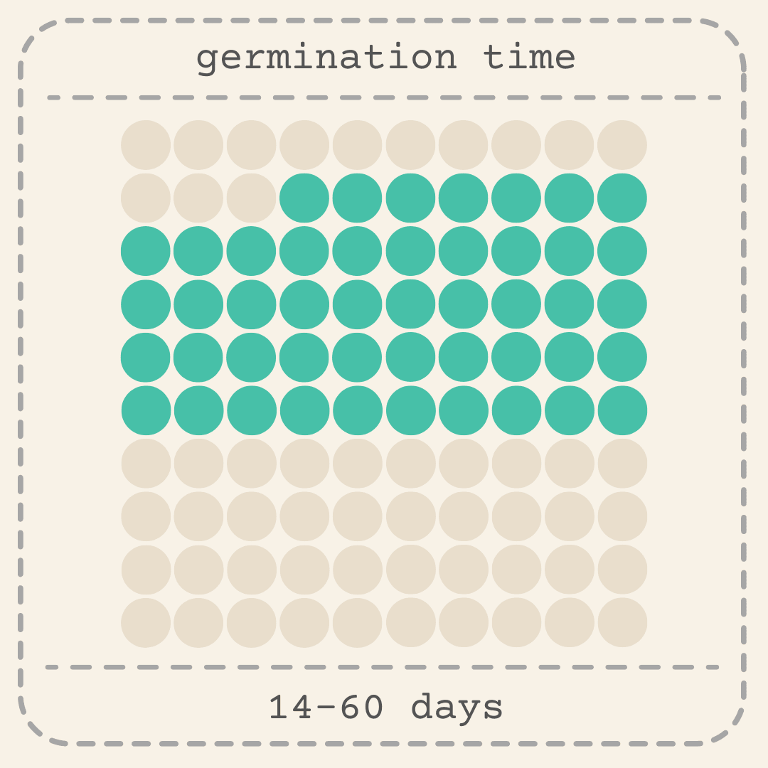 Grevillea robusta 'Silver Oak' germination time chart showing 14–60 days