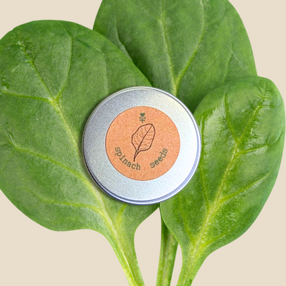 Organic Spinach Seeds