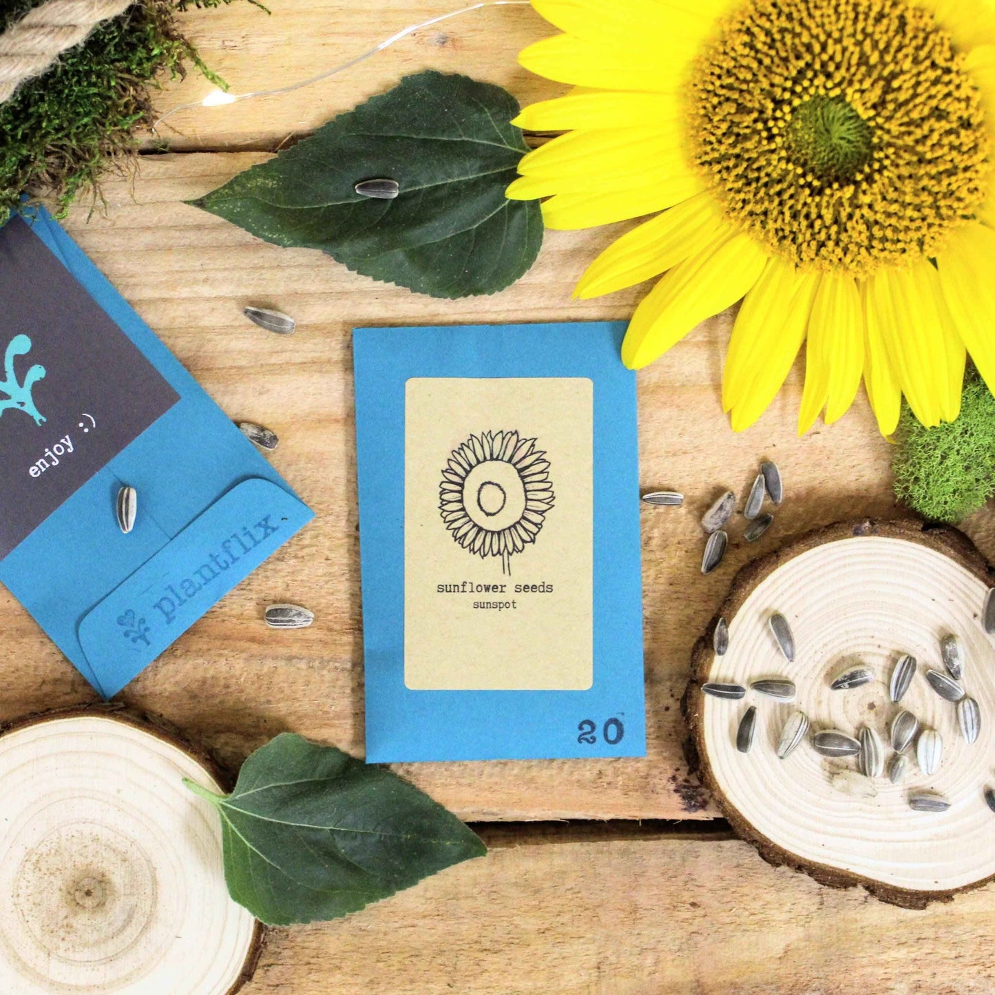 Sunspot Sunflower Seeds packet beside sunflower and loose seeds