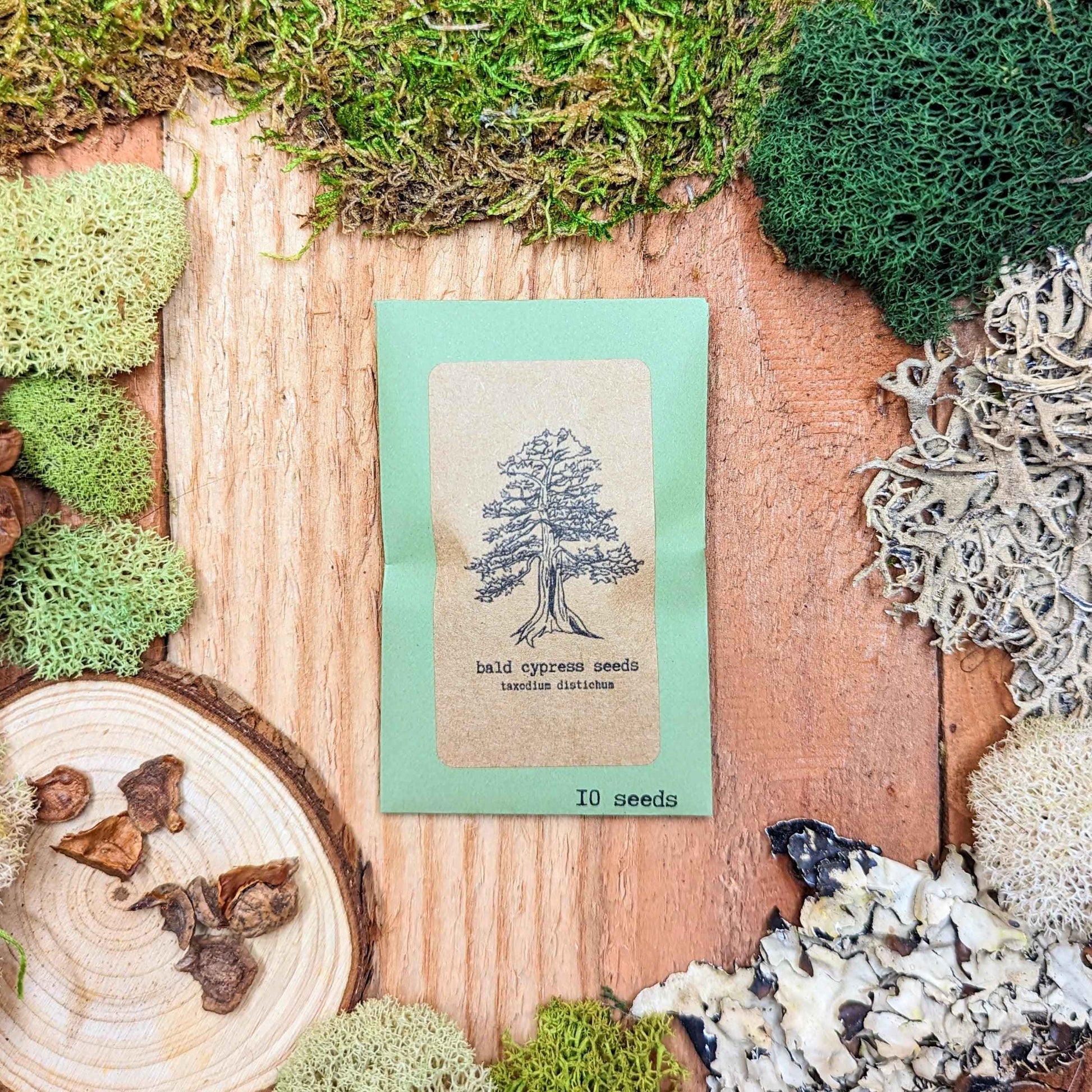 Bald cypress seeds packet on wood surface, 10 seeds