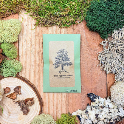 Bald cypress seeds packet on wood surface, 10 seeds