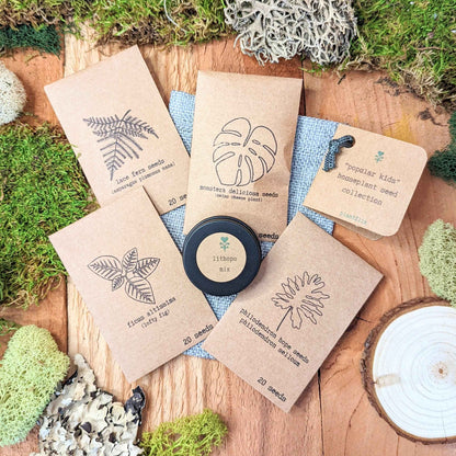 Houseplant seed packet set, assorted kraft sleeves with line drawings