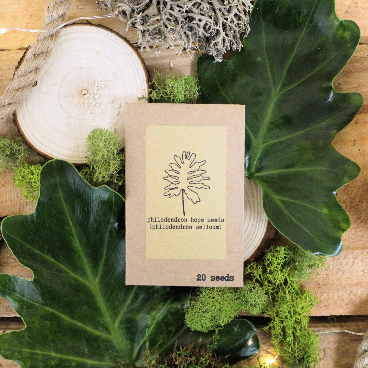 Philodendron hope seed packet, 20 seeds, kraft paper sleeve with line drawing
