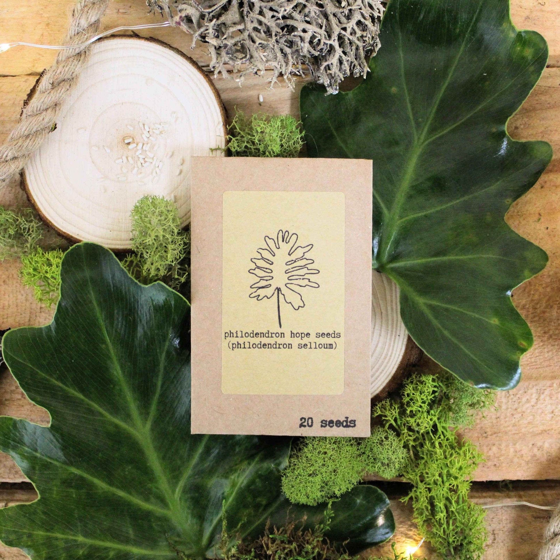 Philodendron hope seed packet, 20 seeds, kraft paper sleeve with line drawing