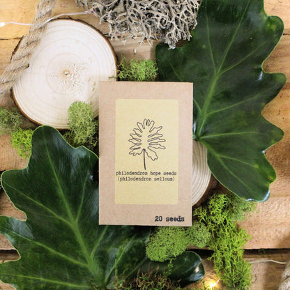 Philodendron hope seed packet, 20 seeds, kraft paper sleeve with line drawing