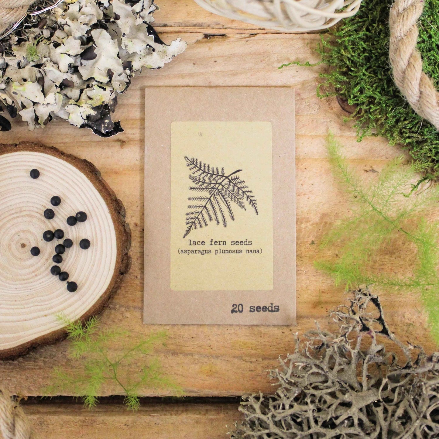 Lace fern seed packet, 20 seeds, kraft paper sleeve with fern line illustration