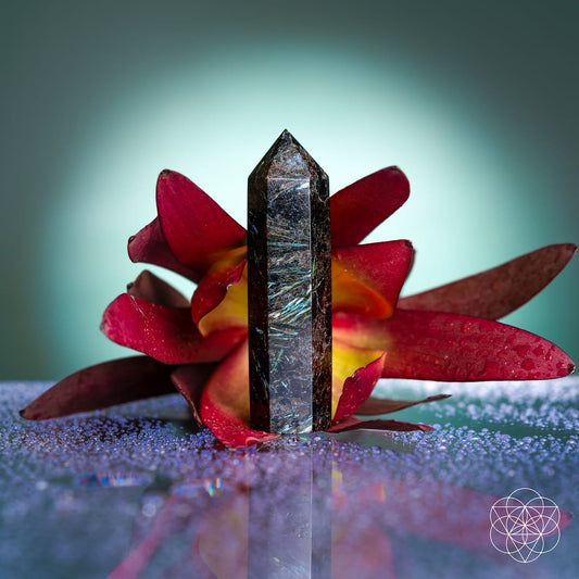 Arfvedsonite crystal point, dark with blue metallic sheen, upright.