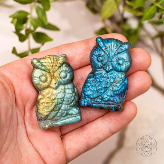 Carved owl talisman in hand, blue and yellow-green iridescent finish