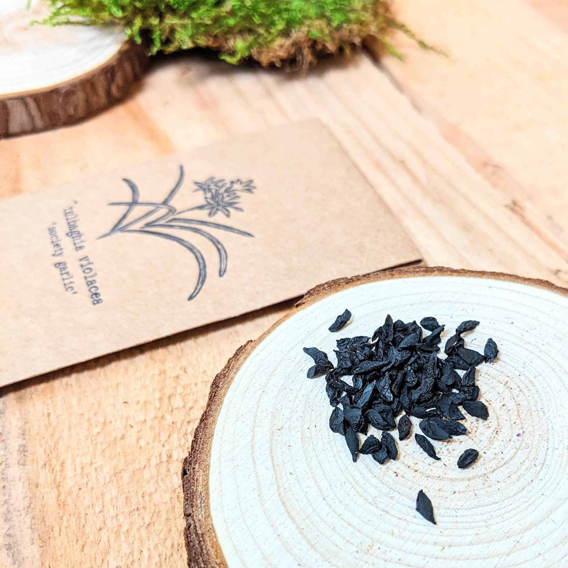 Tulbaghia seeds on a wood slice next to seed packet artwork