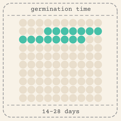 Germination time: 14–28 days, seed sprouting shown in dots