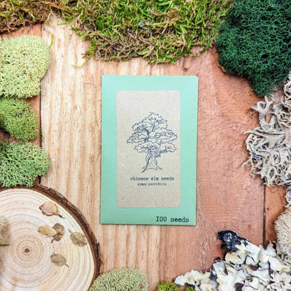 Chinese elm seed packet close-up, turquoise with tree line art and 100 seeds label