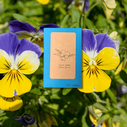 Viola Johnny Jump-Up seed packet, blue, 100 seeds; purple-yellow pansy flowers behind